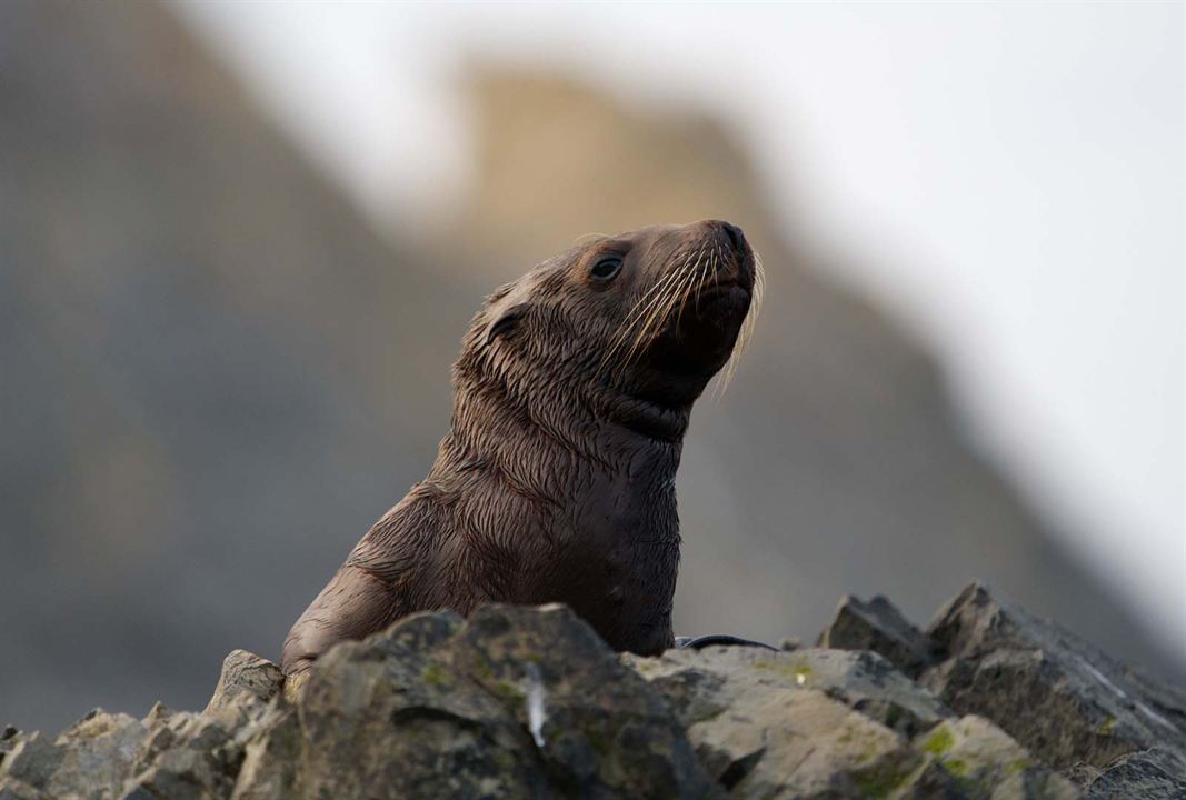 Grandir dans le monde animal : Photo