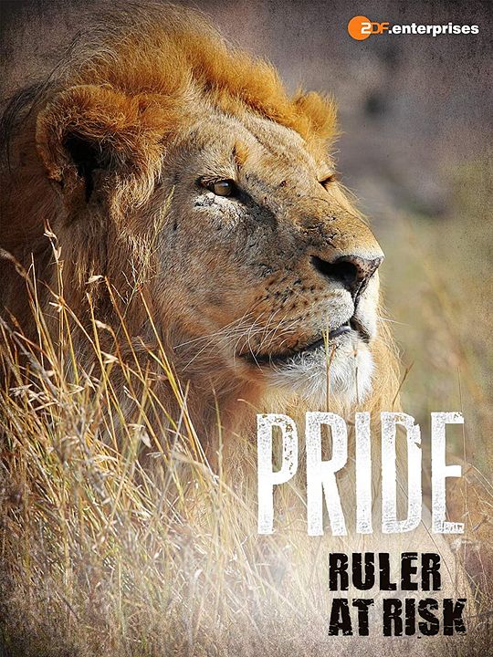 Lionnes : Toutes griffes dehors : Affiche