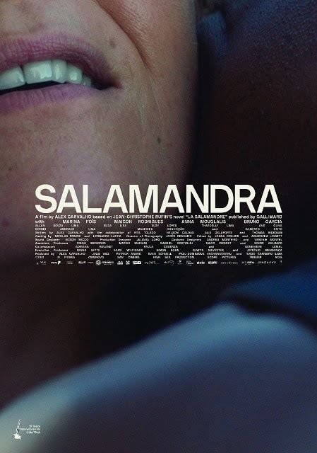 La Salamandre : Affiche