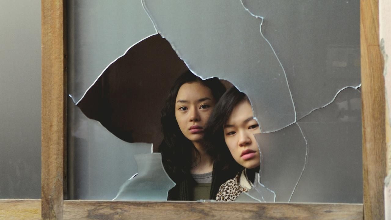 Paju : Photo