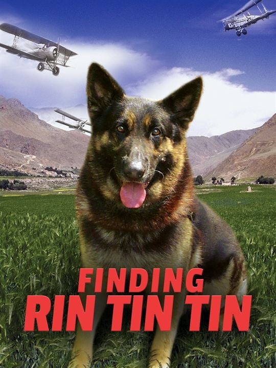 Rintintin : Affiche