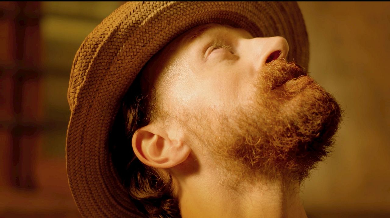 Les Tournesols : Photo