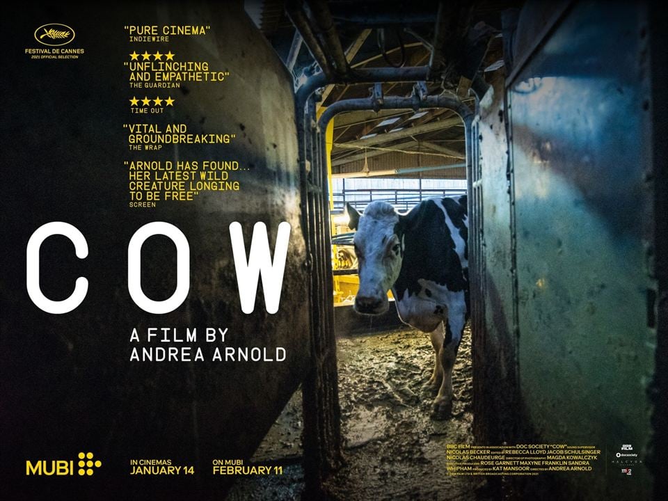 Cow : Affiche