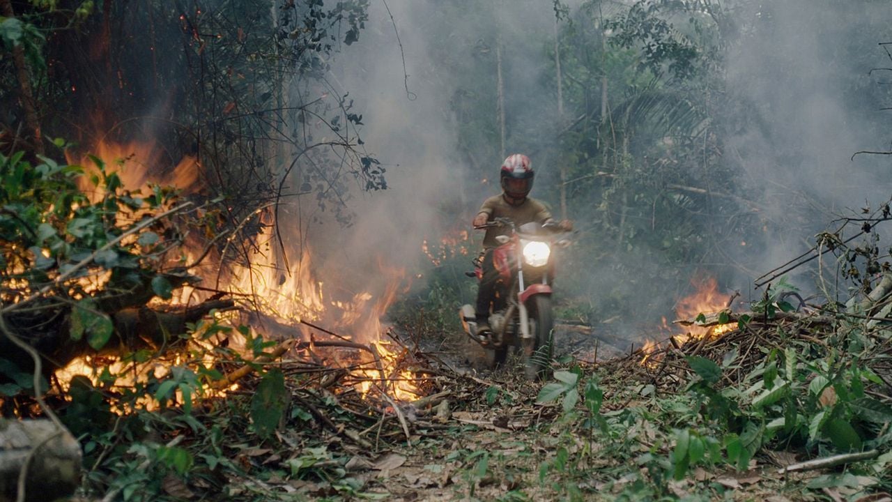 La forêt amazonienne : notre terre : Photo