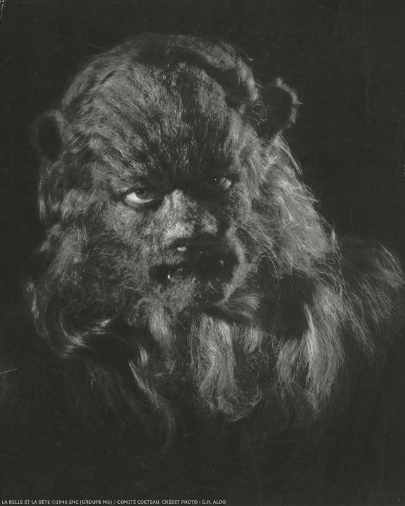 La Belle et la bête : Photo