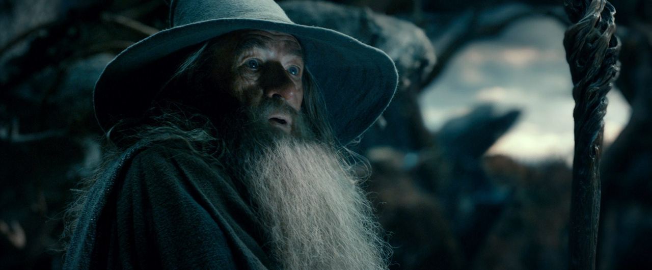 Le Hobbit : la Désolation de Smaug : Photo Ian McKellen
