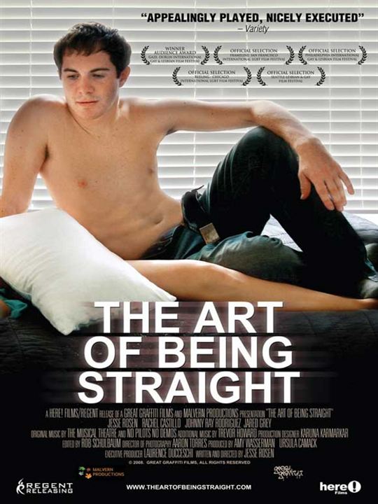 The Art of being straight : Affiche