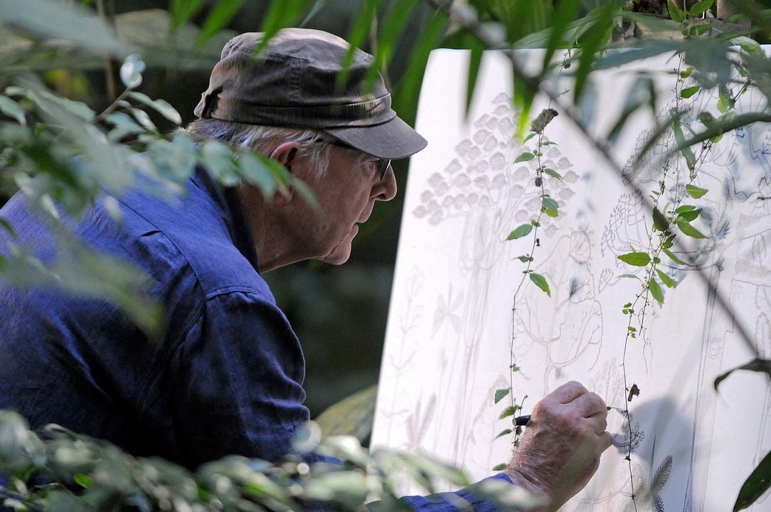 Il était une forêt : Photo Francis Hallé