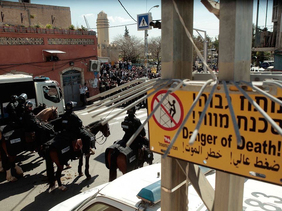 Dancing in Jaffa : Photo