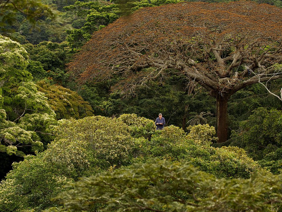 Il était une forêt : Photo