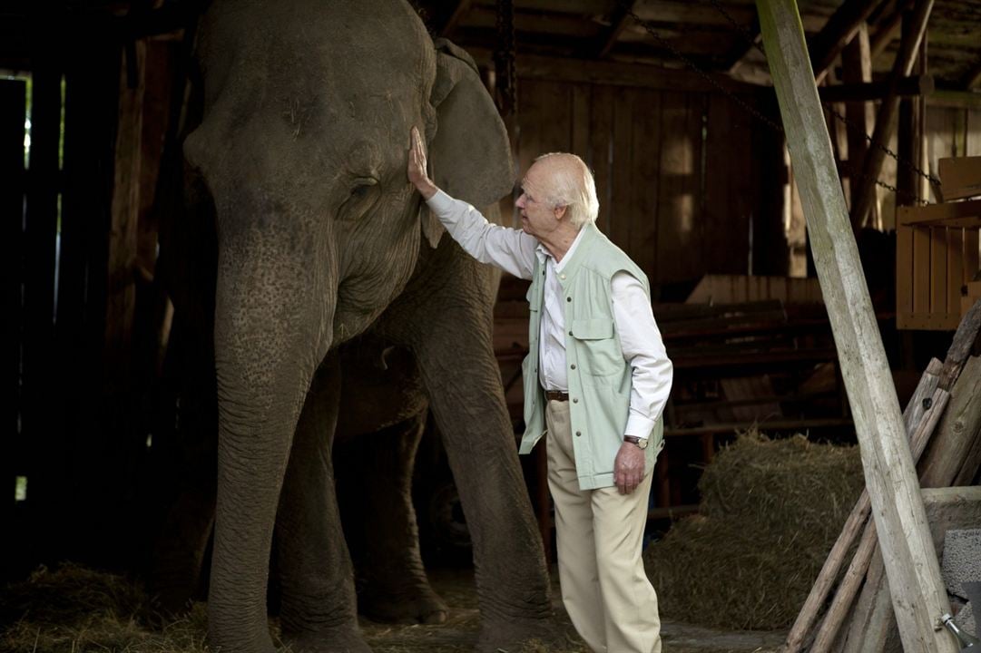 Le Vieux qui ne voulait pas fêter son anniversaire : Photo Robert Gustafsson