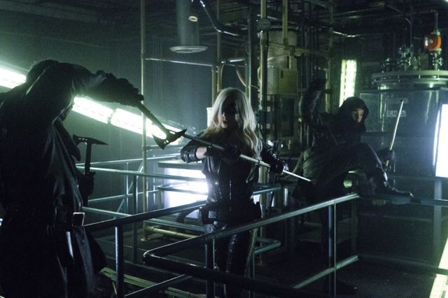 Arrow : Affiche Caity Lotz