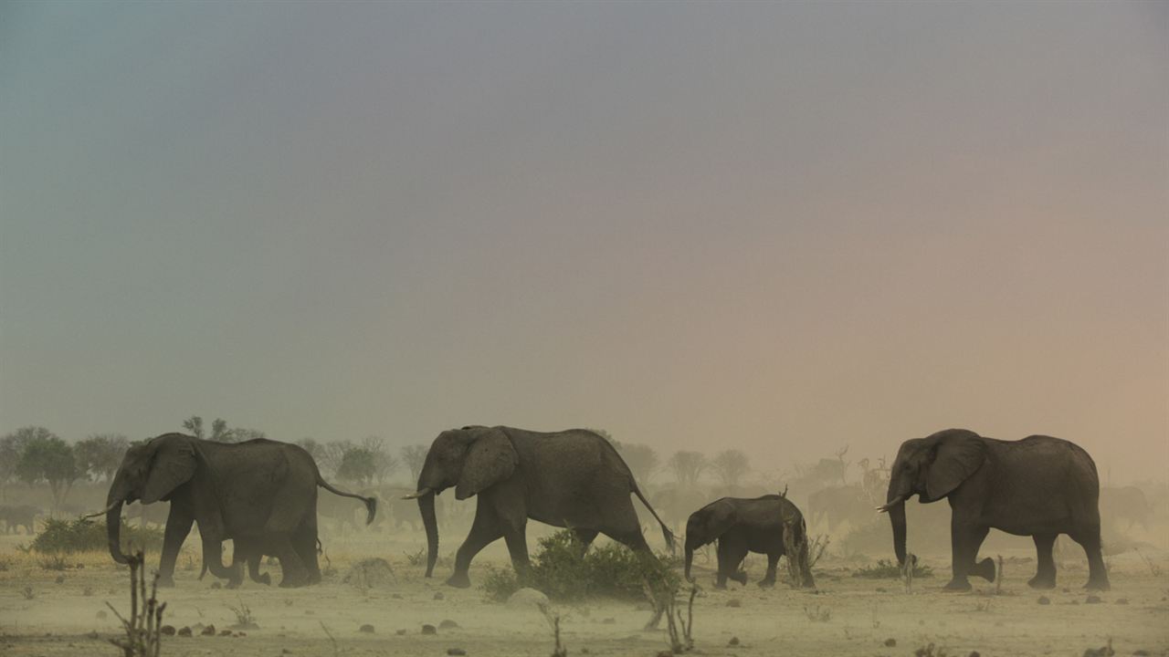 Survivre au paradis : Une histoire de famille : Photo