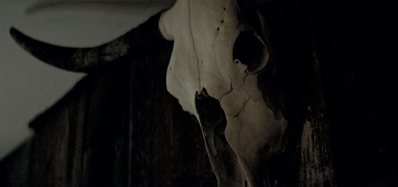 The Dark and the Wicked : Photo