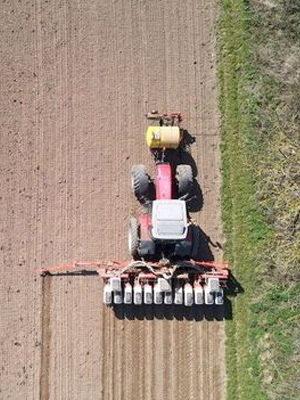 Insecticide: comment l'agrochimie a tué les insectes : Affiche