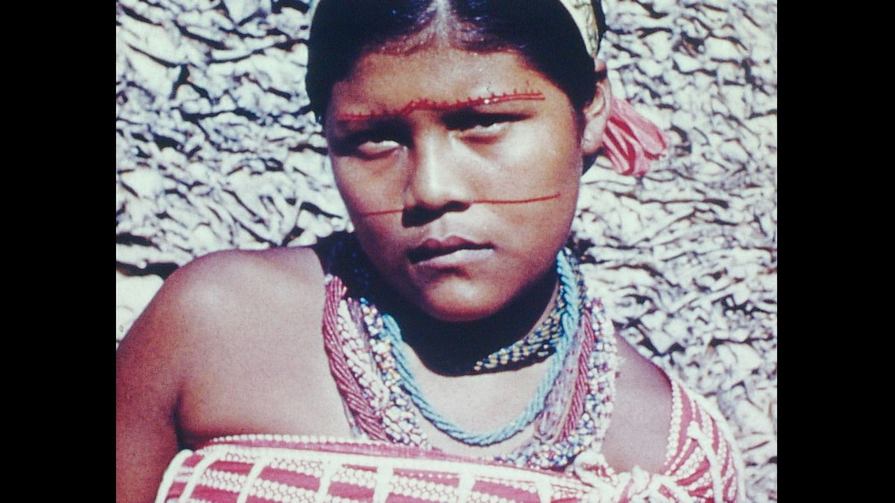 Maître Contout - mémoire de la Guyane : Photo