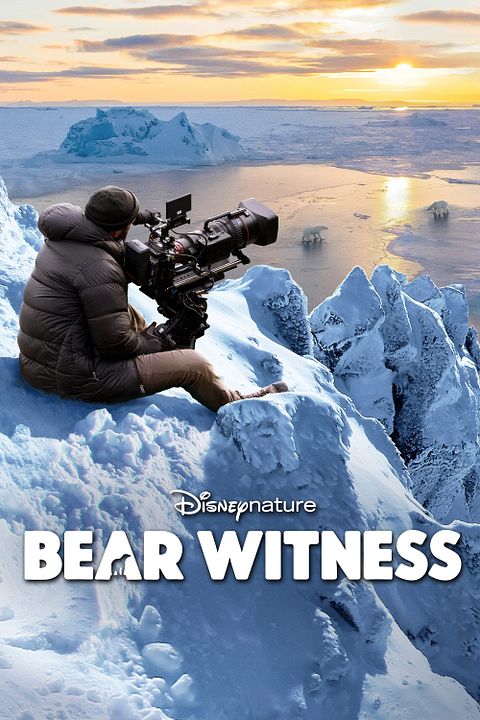 Bear Witness : Affiche
