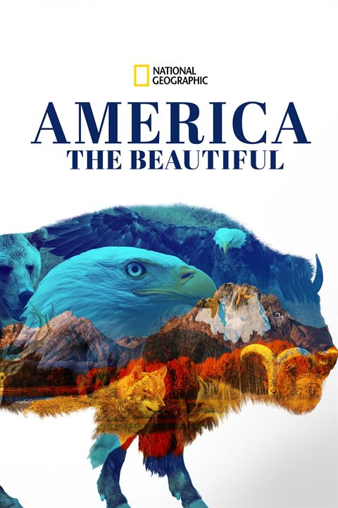 America the Beautiful : Affiche