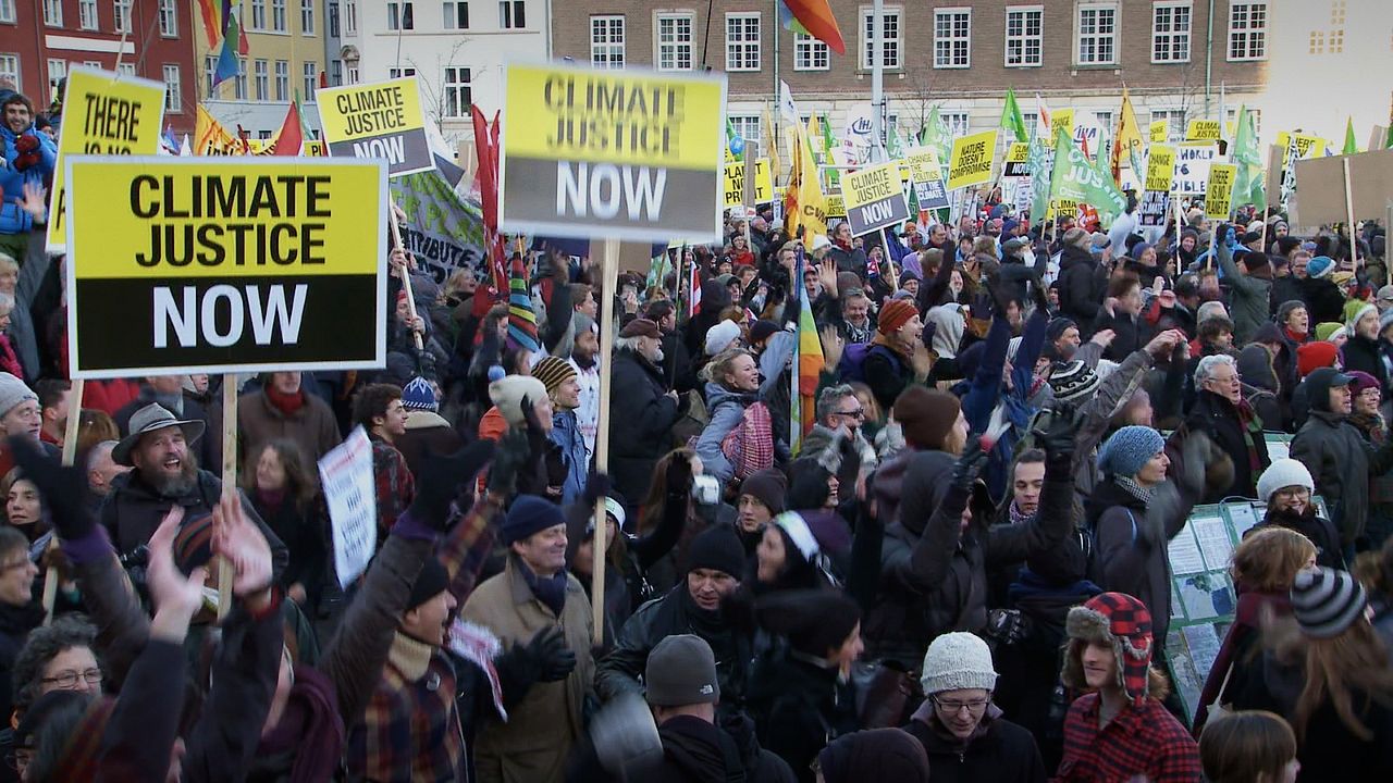 Les Graines de Vandana Shiva : Photo