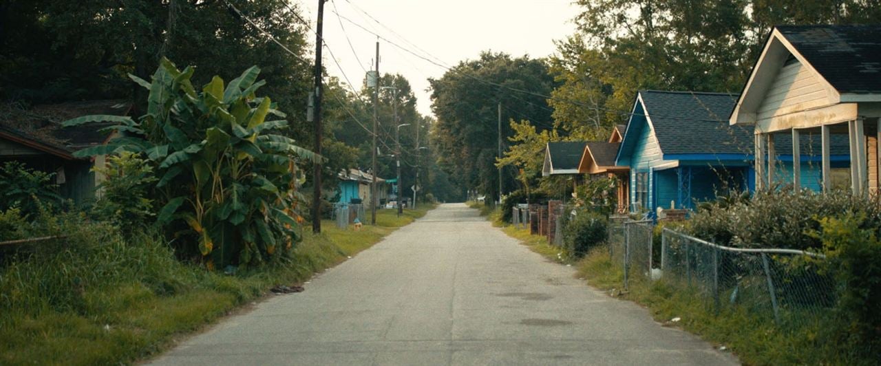 Descendant : les héritiers d'Africatown : Photo