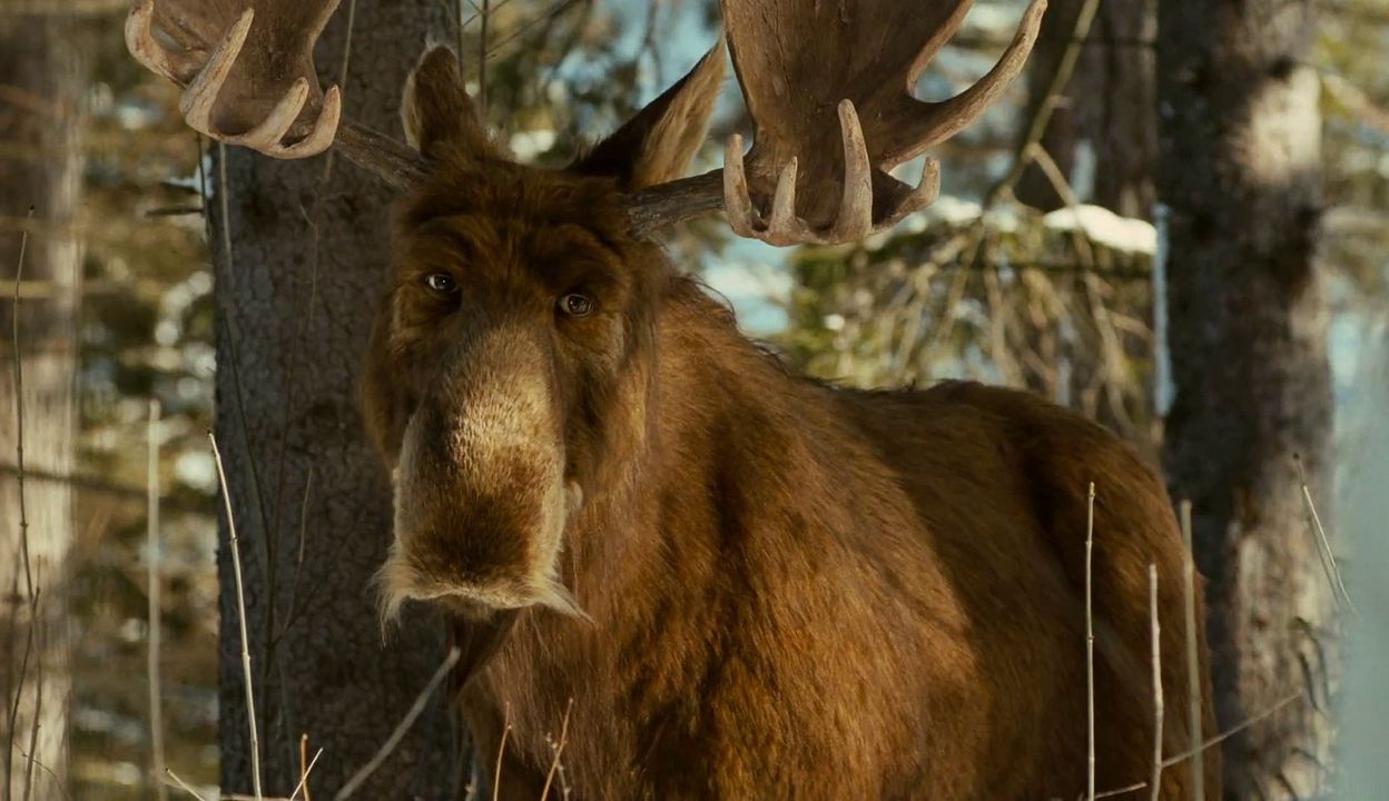 Christmoose Carol : Photo