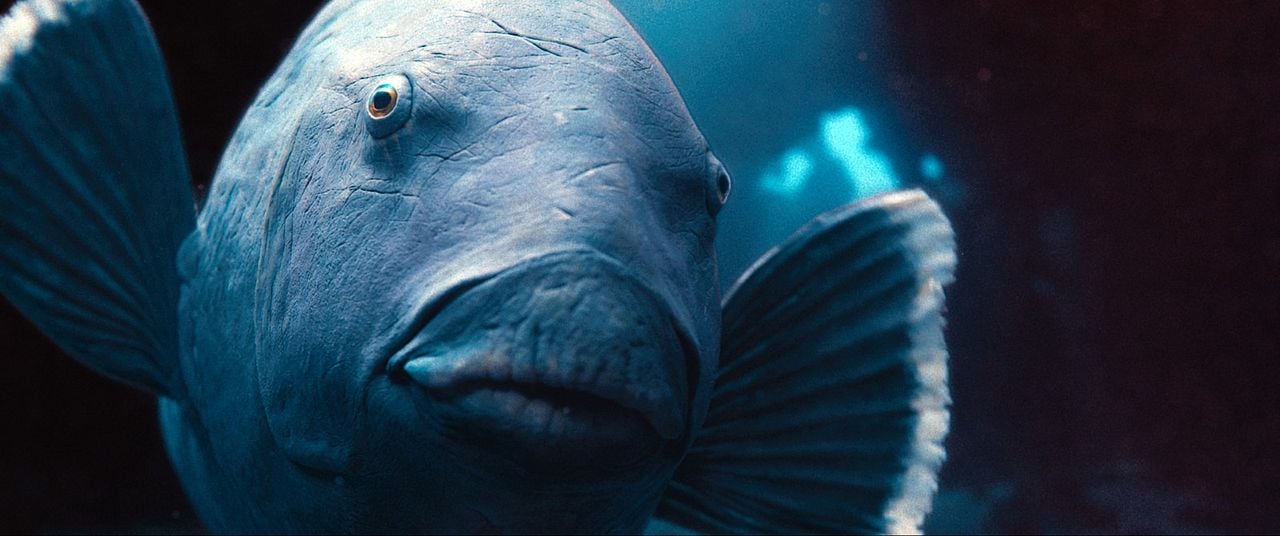 Blueback – une amitié sous-marine : Photo