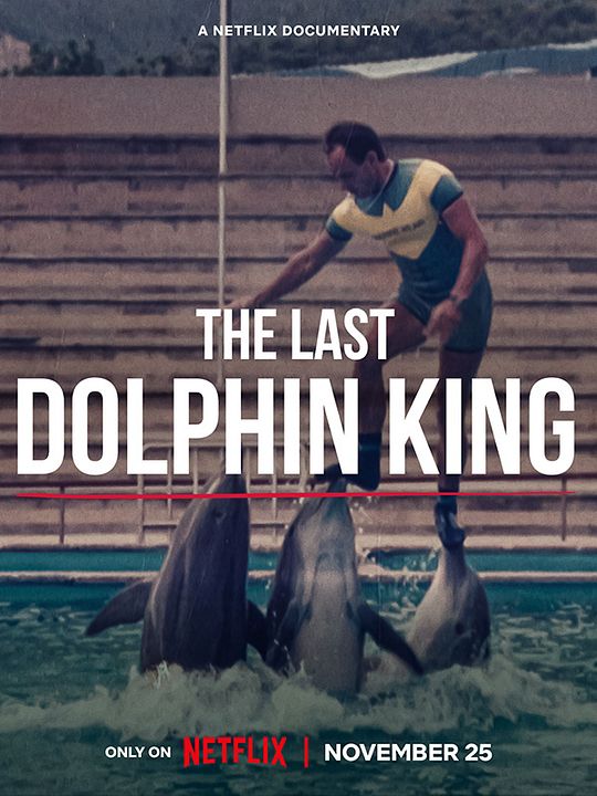 Qu'est-il arrivé au roi des dauphins ? : Affiche