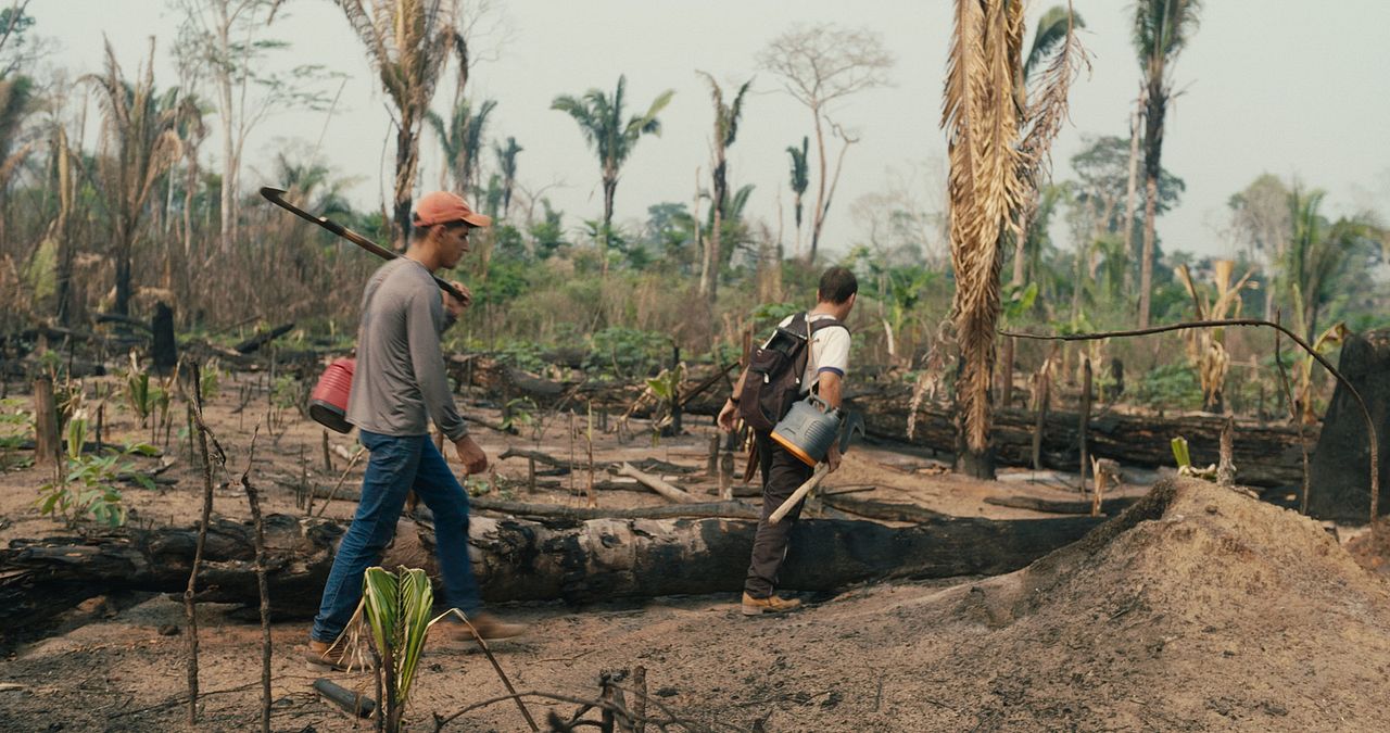 La forêt amazonienne : notre terre : Photo