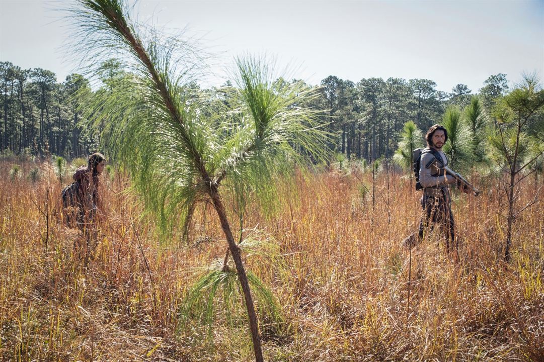 65 - la Terre d'avant : Photo Ariana Greenblatt, Adam Driver