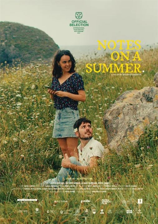 Notas sobre un verano : Affiche