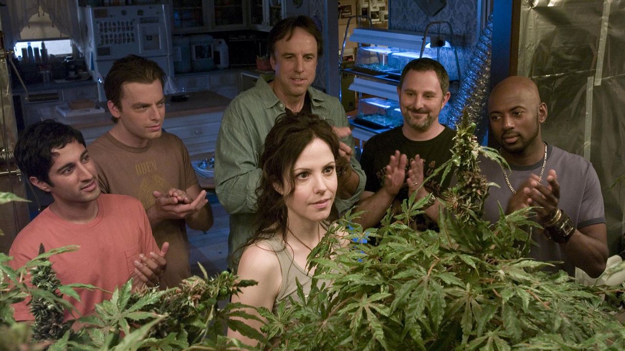 Weeds : Affiche