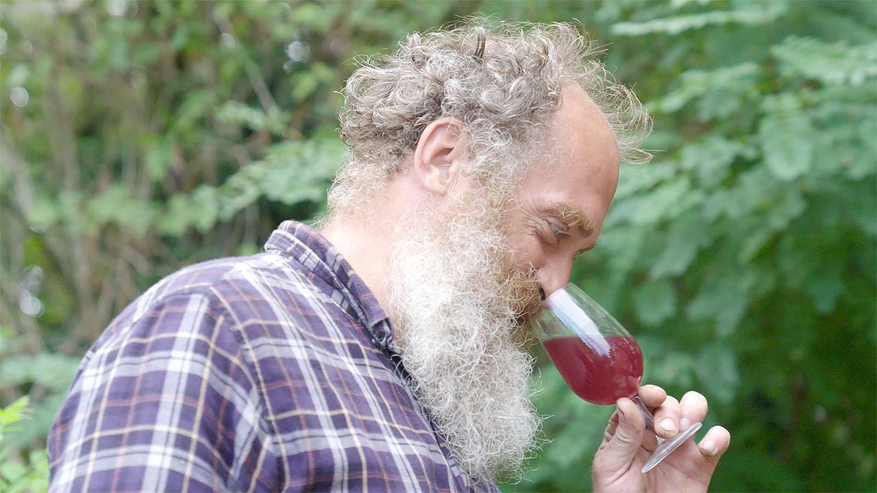 La Révole nature, de la vigne au verre : Photo