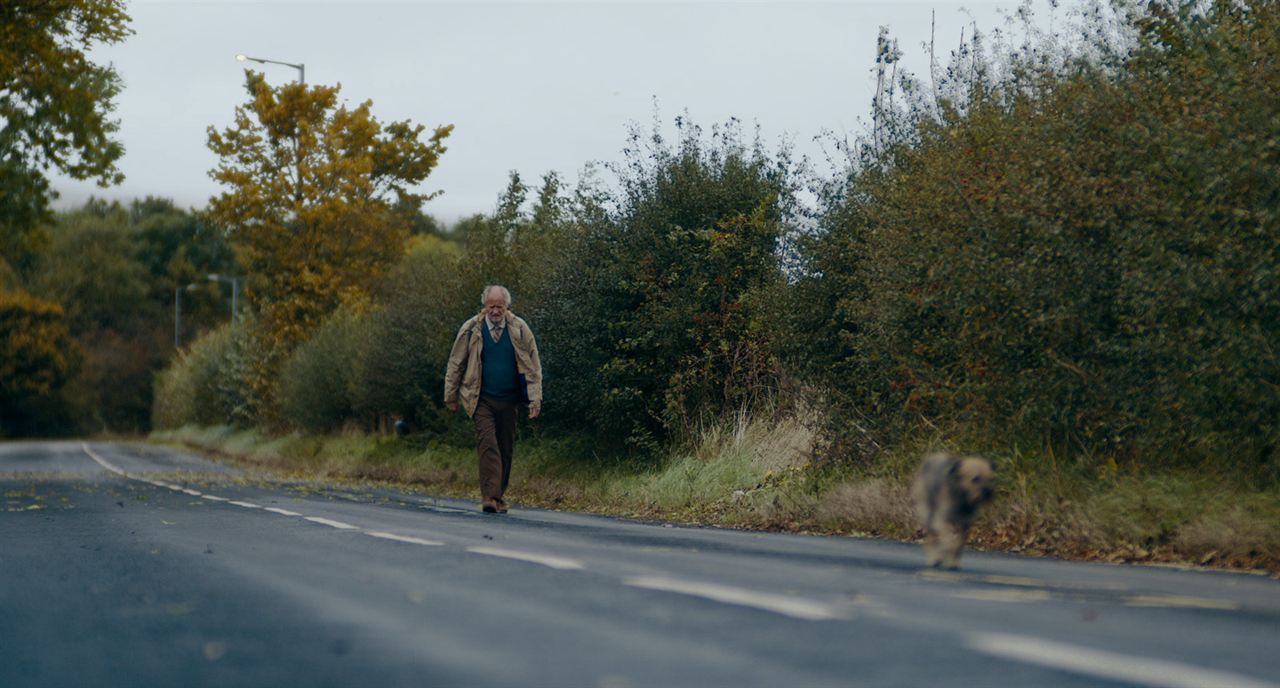 L'Improbable voyage d'Harold Fry : Photo Jim Broadbent