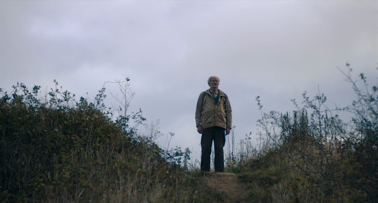 L'Improbable voyage d'Harold Fry : Photo Jim Broadbent