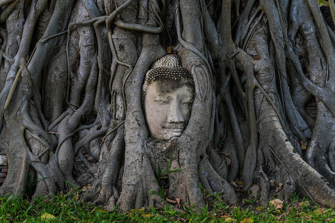 Altaïr conférences - Thaïlande : De Bouddha à la mondialisation : Photo