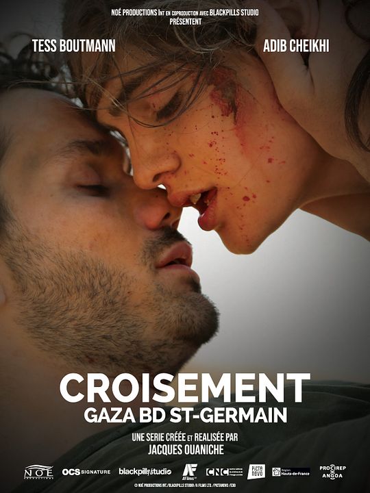 Croisement Gaza - Bd St Germain : Affiche