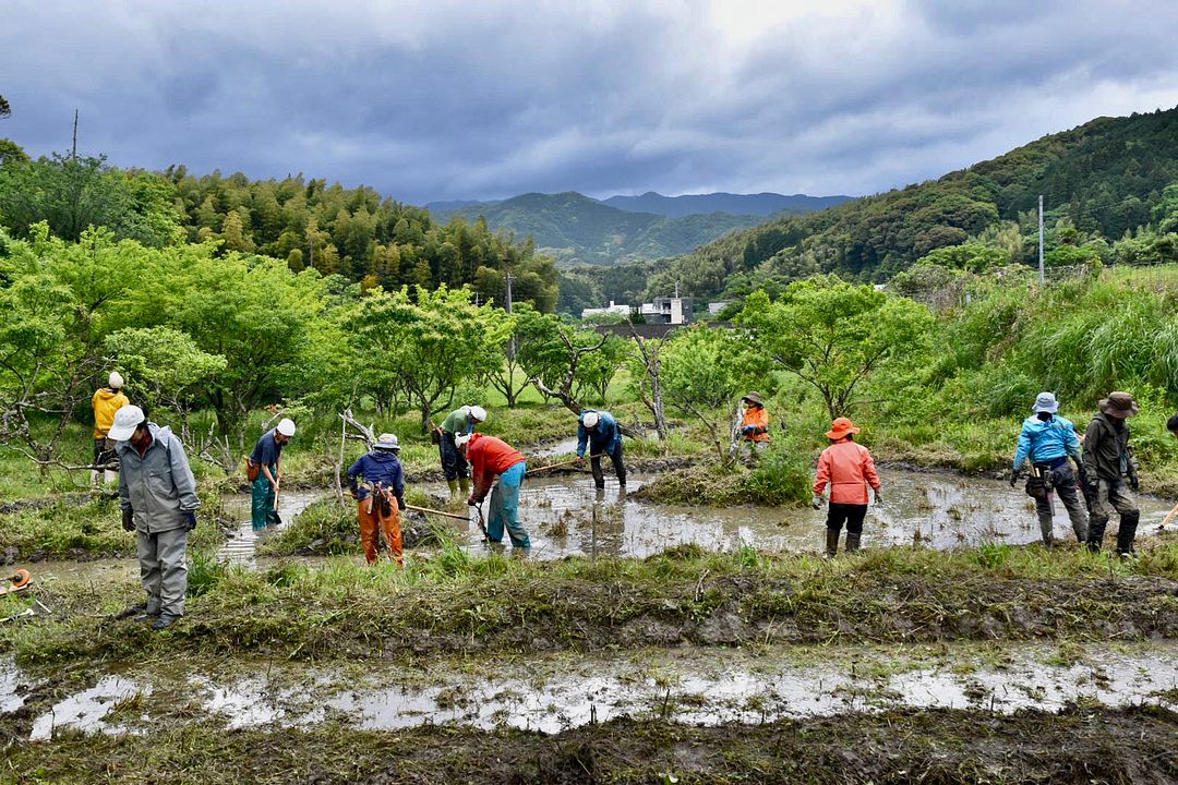 Moribito : Un docteur de la Terre : Photo