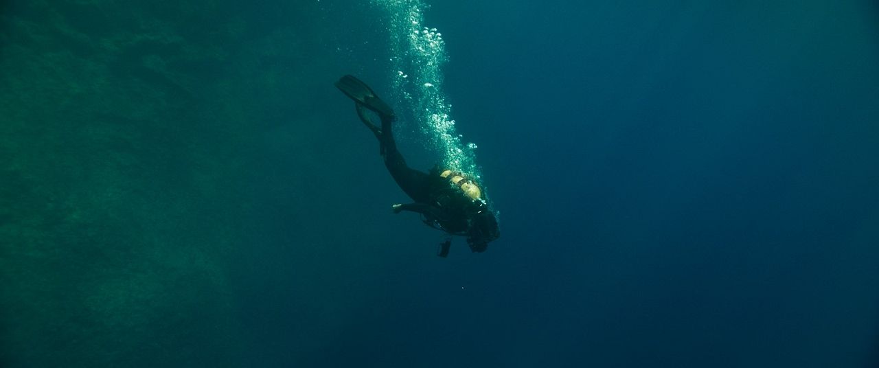The Dive : Photo