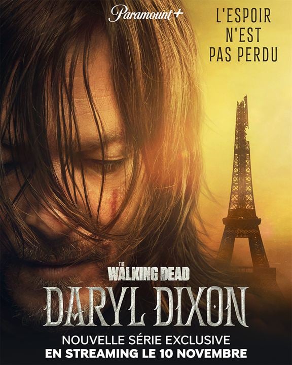 Poster The Walking Dead Daryl Dixon Affiche 1 Sur 6 Allociné 9862