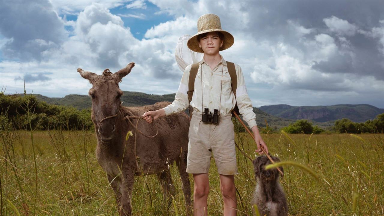 The Durrells : une famille anglaise à Corfou : Affiche