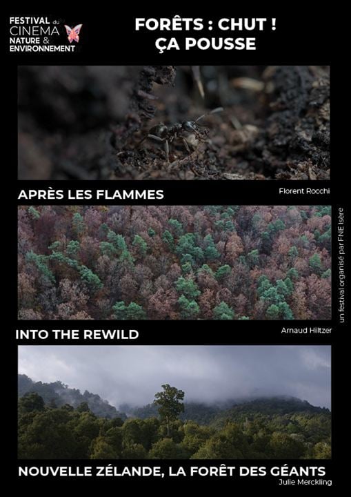 Forêts : Chut ! Ça pousse : Affiche