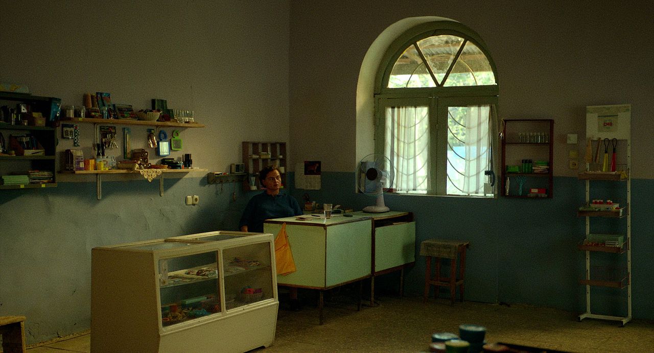 Blackbird, Blackberry : Photo Eka Chavleishvili