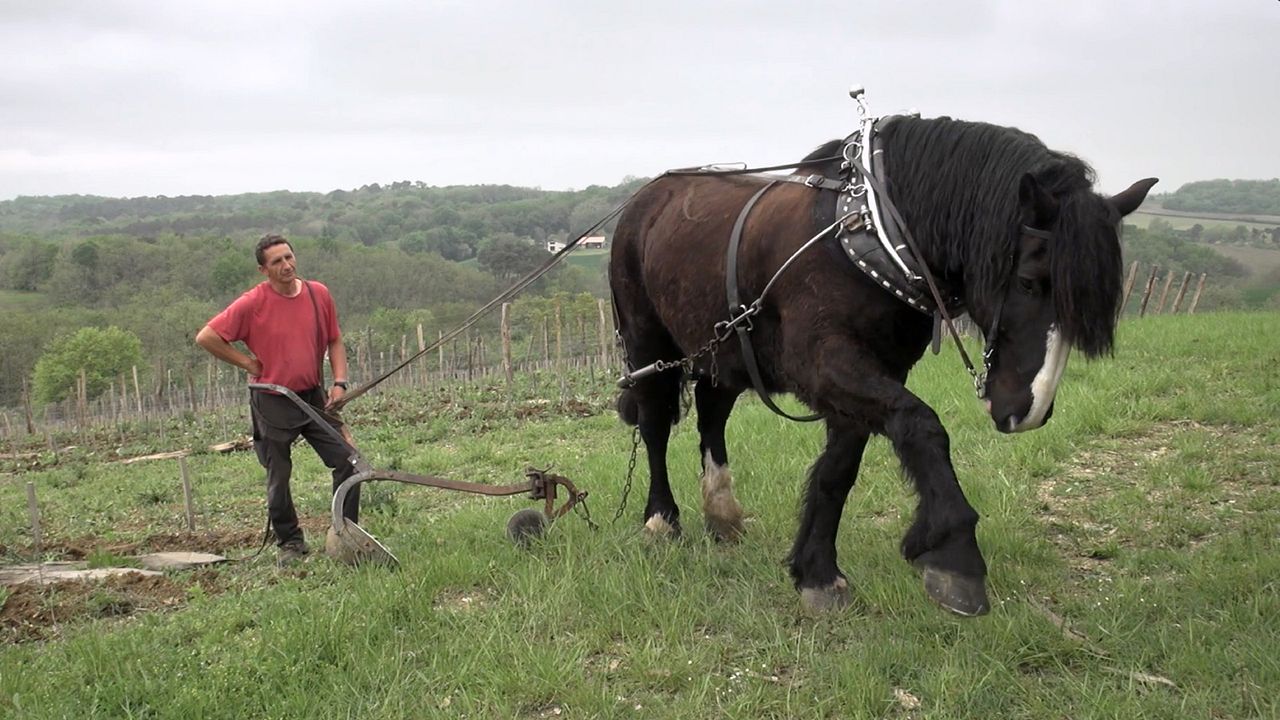 Prendre soin de la Terre : Photo