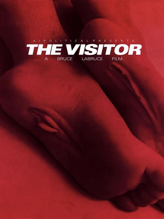 The Visitor : Affiche