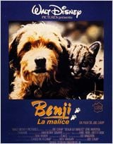 Benji la malice