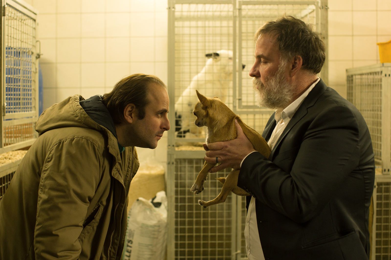 Chien Telecharger le film Chien