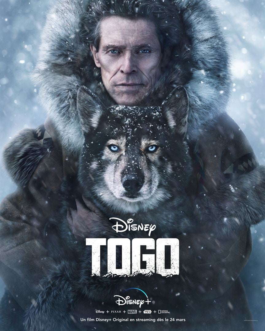 [好雷] 雪橇犬多哥 Togo (Disney+ 2019)