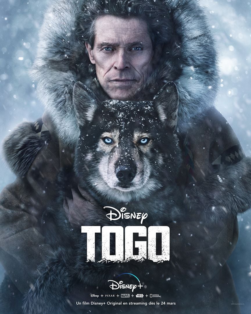 [好雷] 雪橇犬多哥 Togo (Disney+ 2019) 