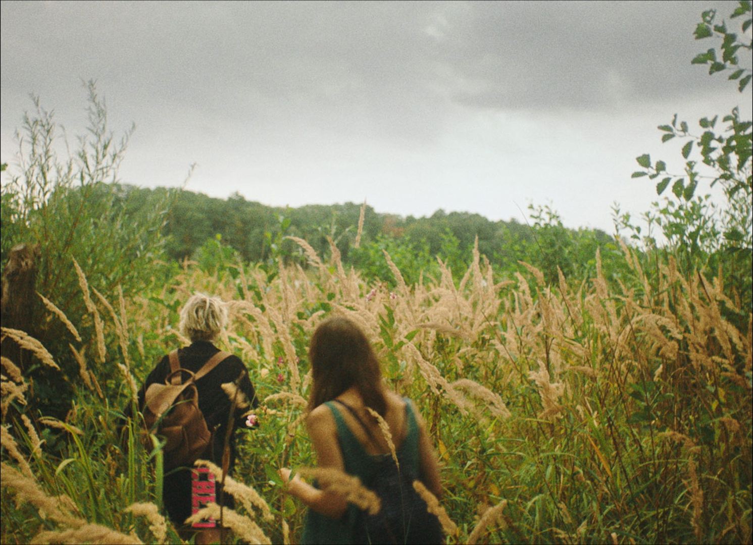 Deux jeunes femmes, de dos, marchent dans un champ de blé
