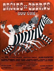 Affiche du film Droles de zébres